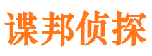 新龙小三调查